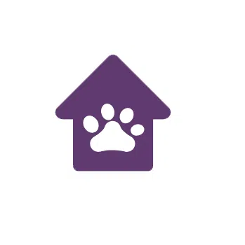 MicrosoftTeams-image (27)