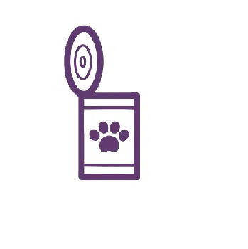 MicrosoftTeams-image (29)