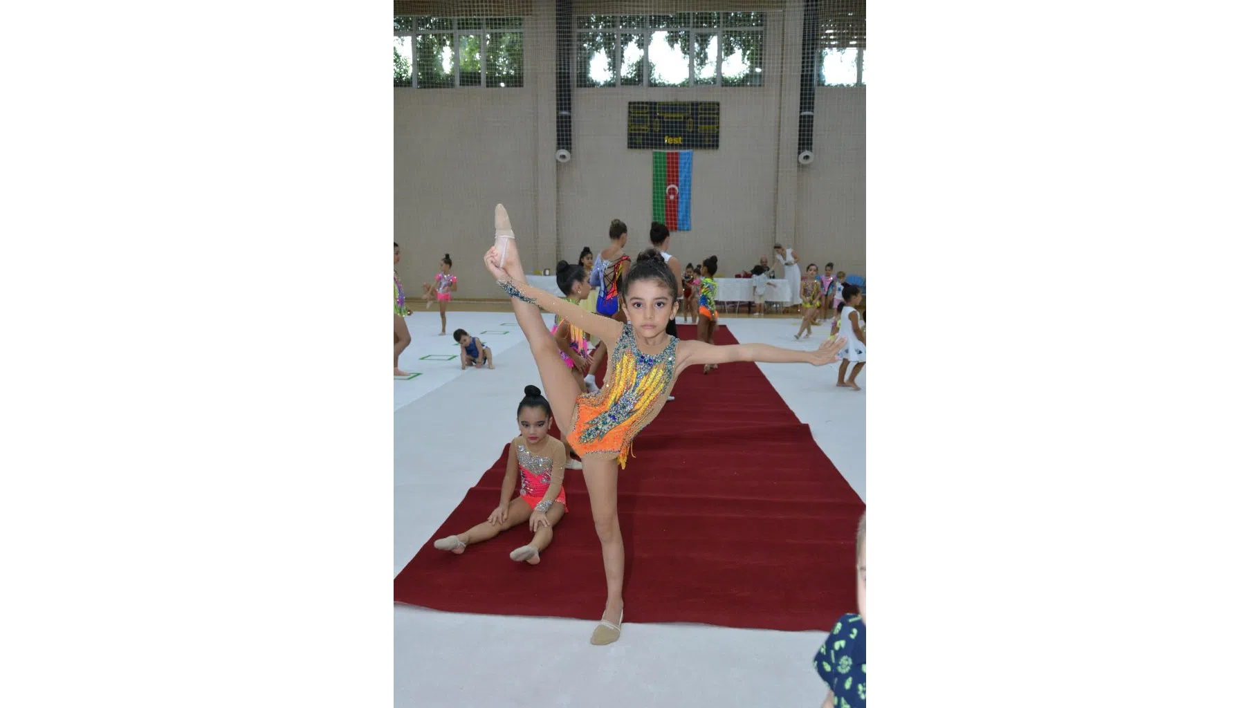 DSC_4801-683x1024_16x9