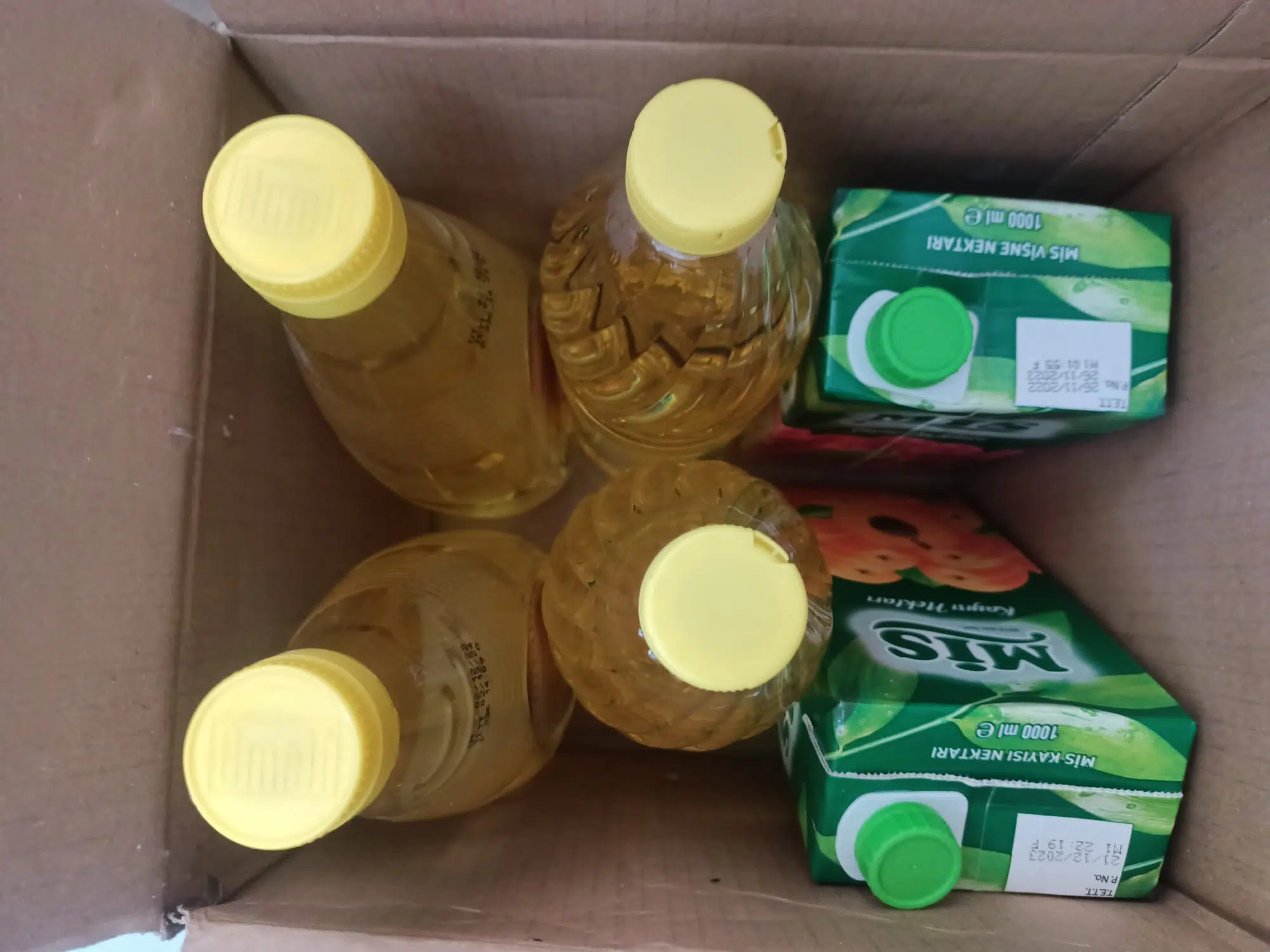 PHOTO-2023-02-08-13-42-21(1)