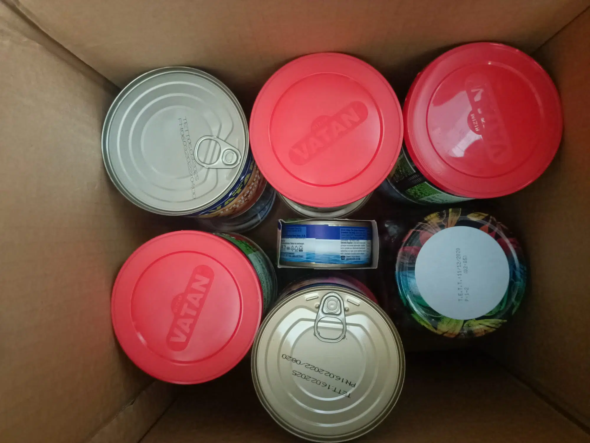 PHOTO-2023-02-08-13-42-21(3)