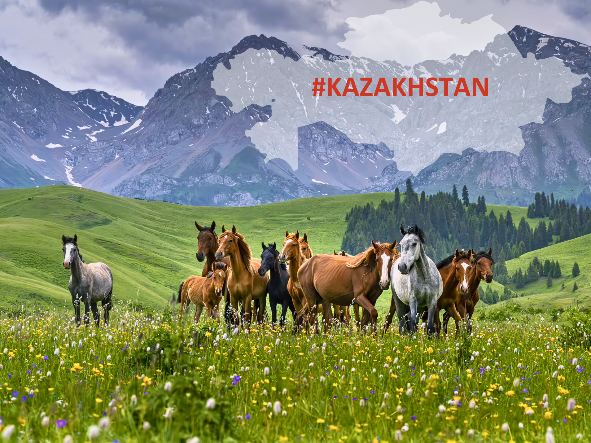 KAZAKHSTAN: NEWS AND ACCOUNTING ACTIVITIES, MAY 2024