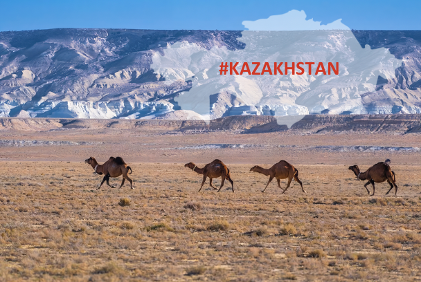 KAZAKHSTAN: NEWS AND ACCOUNTING ACTIVITIES, JUNE 2024