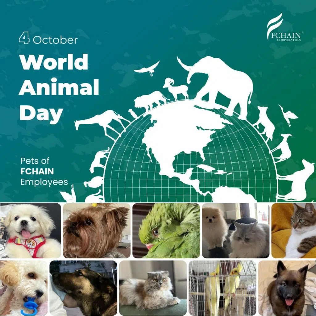 fchain-animal-day-post1