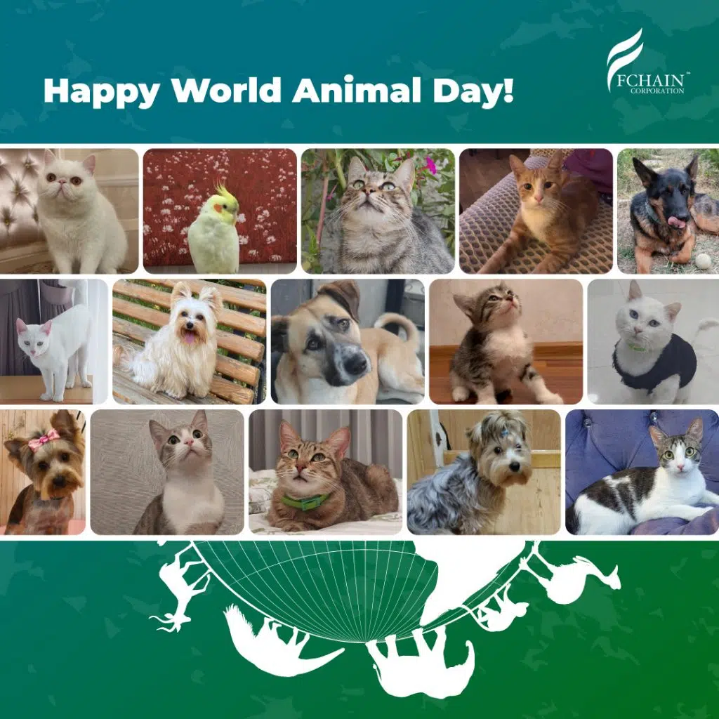 fchain-animal-day-post2