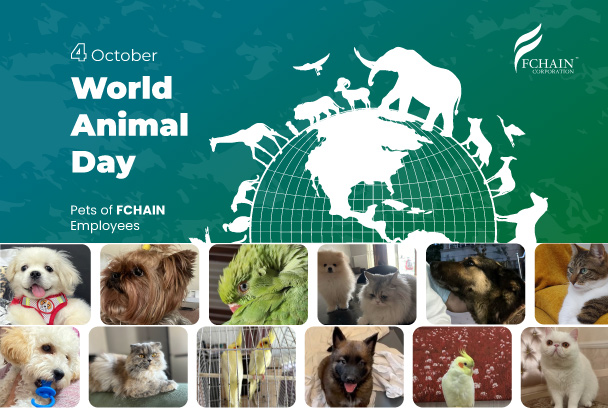 Happy World Animal Day!