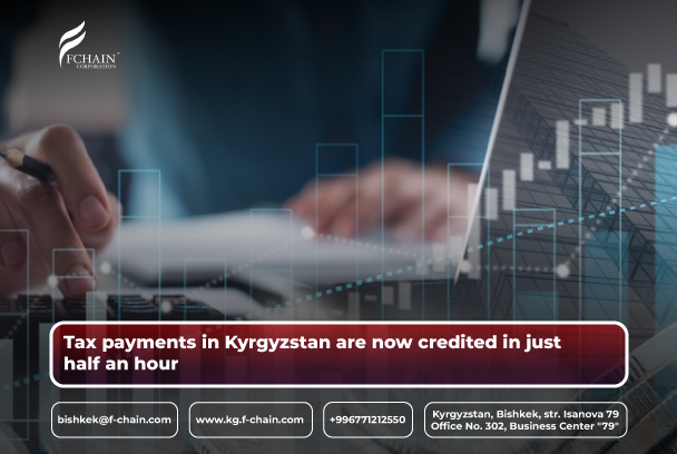 Tax payments in Kyrgyzstan are now credited in just half an hour