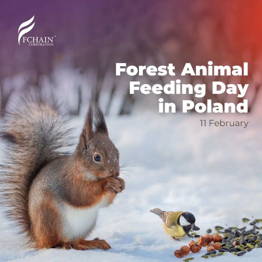 Forest-Animal-Feeding-Day-in-Poland-vebin (1)