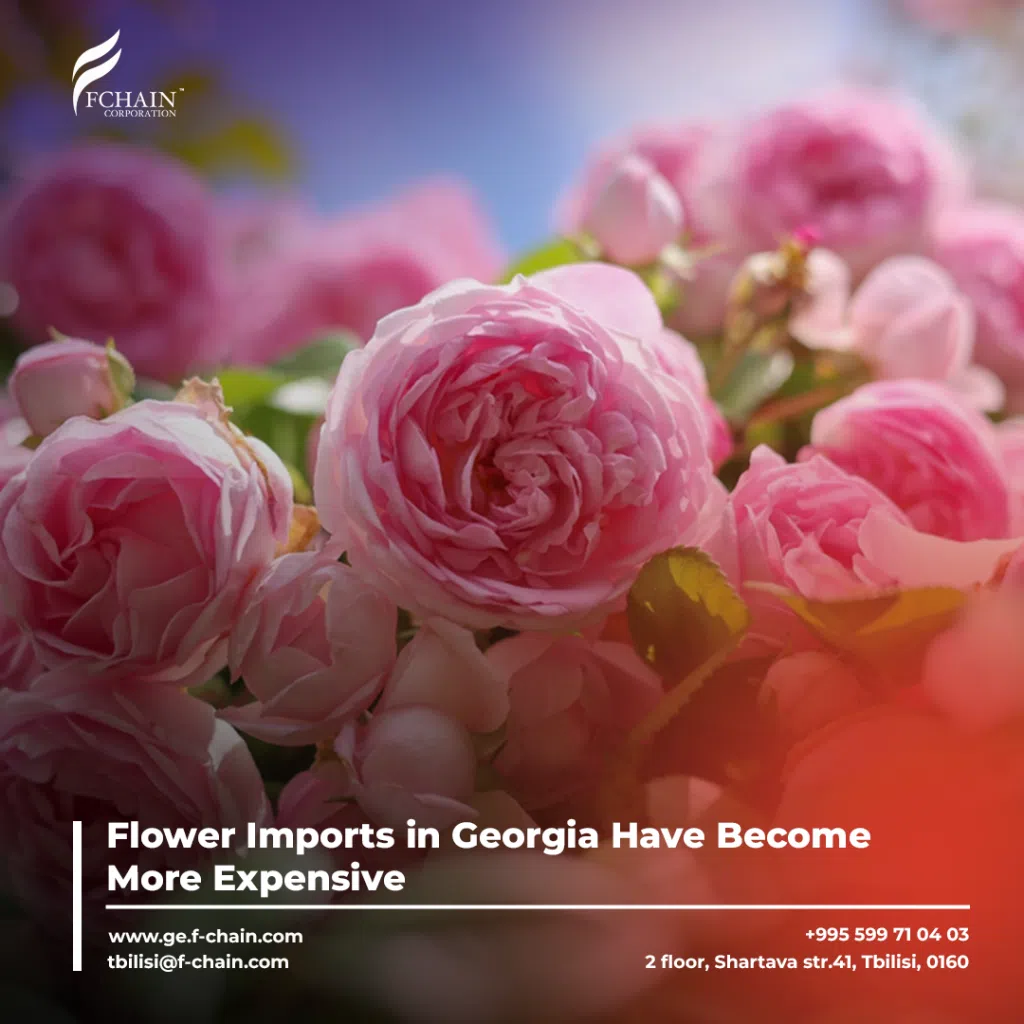 georgia-19-fevral-vebin 1