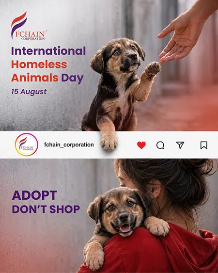 web International Homeless Animals Day