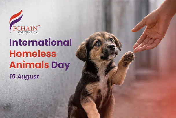 August 15 – International Homeless Animals Day